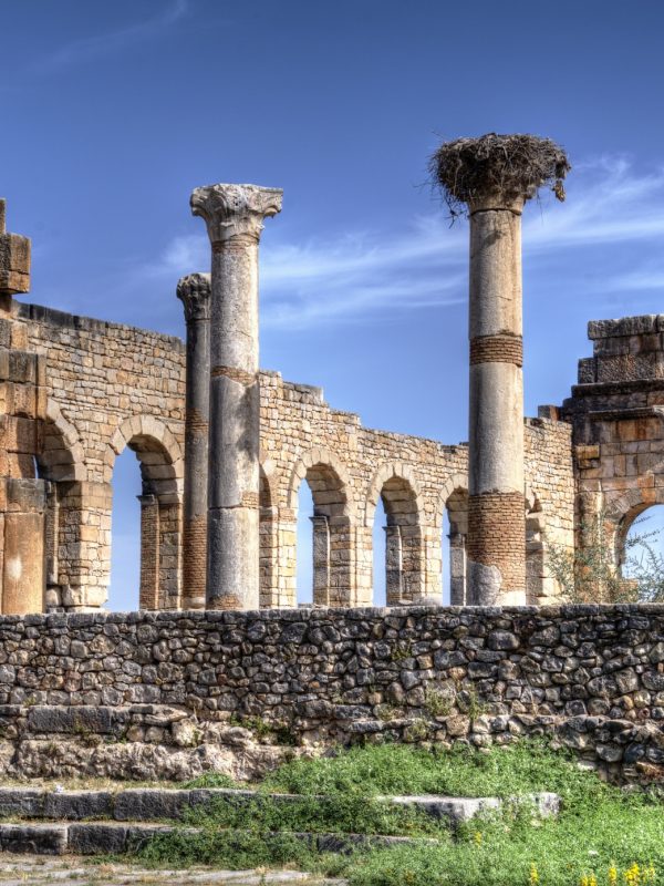 day trip from fez to volubilis