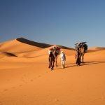 Morocco Tours from ouarzazate to erg chigaga