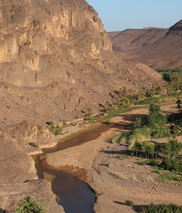 day trip from ouarzazate to fint oasis