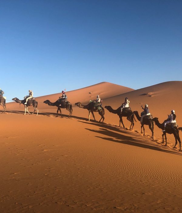 Morocco Tours Agency Camel Trekking merzouga